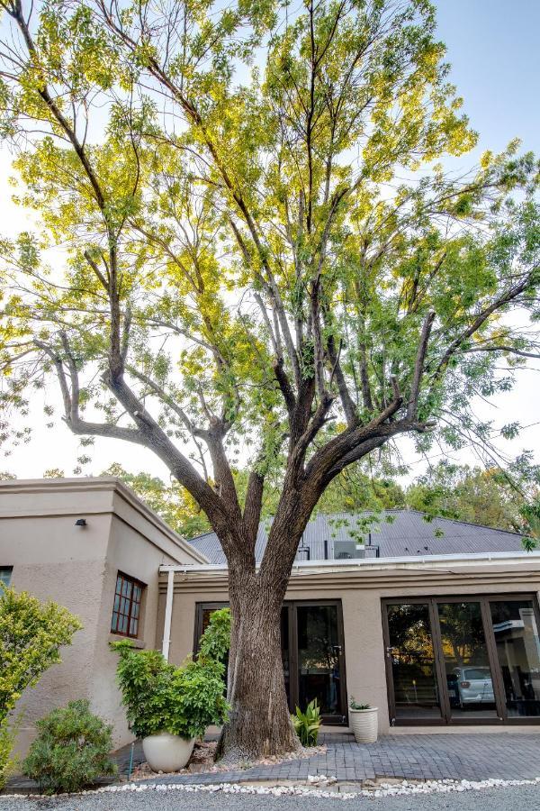 The Nightingale Guesthouse Bloemfontein Zewnętrze zdjęcie